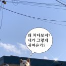 이승윤의 알통떡강정 경주중앙점 이미지