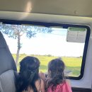 골든카프라자 이미지