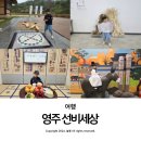 영주 선비세상 경북 아이와 가볼 만한 곳 추천 방문 후기