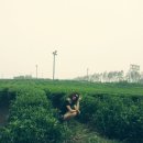 로하스통나무집 이미지