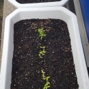 캡틴공인중개사사무소 이미지