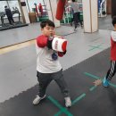 The King Boxing 이미지