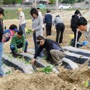 박정자농장 이미지