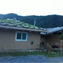 무릉도원면-20 이미지