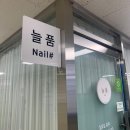 늘품네일