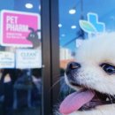 세교 봄약국 이미지