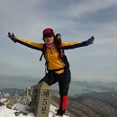 정상 Daum카페