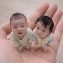 안녕도리 - 충주시 대흥2길 28 | 안녕도리