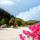 약사계곡 캠핑장 이미지