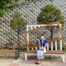 대진고등학교 이미지