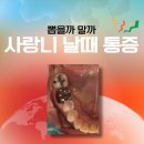 푸른하늘치과의원 | 매교동치과 사랑니전문, 사랑니 날때 통증 체크포인트