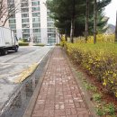 죽산공인중개사사무소 이미지