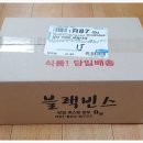 빈스마운틴