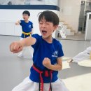 용인대 현성태권도장 이미지