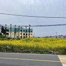 서귀동 339 | 제주도 2박 3일 여행 -2