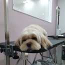 몽개몽개 이미지