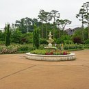 푸른수목원 이미지