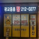 광교중흥탑공인중개사사무소 네이버블로그