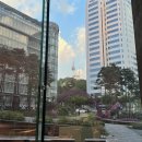오렌즈 수원호매실점 & 스타옵틱 | 2026.08월 정산 : 수원 타투 커버 웨딩, 수원 웨딩 네일, 수원 청모 장소 추천, 브라이덜휘 본식 드레스...