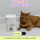 우리집 고양이 실내 운동 고양이스트레스해소 스마트롤리폴리장난감