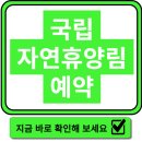 인터페이스PC방 | 국립 자연휴양림 예약하고 자연 속에서 힐링하세요!