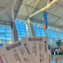 통뼈감자탕찜비산점 | [daily] 6월 초 일본 도쿄 3박 4일 여행 기록 - 출국부터 나리타공항 입국, 도쿄역 도착까지