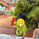 백조어린이집 이미지