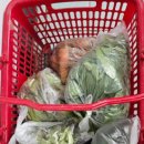 규식농장 이미지