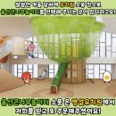 컵밥친구들 이미지