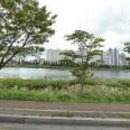 강남로(북) 네이버블로그