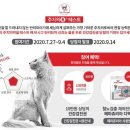 닥터코기동물병원 네이버블로그