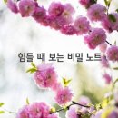 힘들때 보는ㅡ 비밀 비망록ㅡ 자신이 한없이 ㅡ 초라하고 작게 느껴질 때 ㅡ 산에 한번 올라가 보십시오ㅡ 산 정상에서 내려다 본 이미지