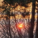 신년 해맞이 | 뒤늦게 올려보는 신년 해돋이 개화산해맞이 행사 후기