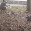 두곡해수욕장 이미지