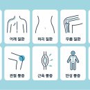 바디업 이미지