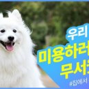 더존개발 이미지