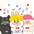 포스트카드오피스