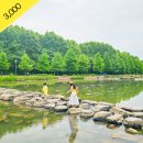 하이조이 이미지