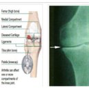 알리바바한의원 이미지