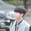 니피 이미지