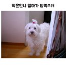 고전문학 이미지
