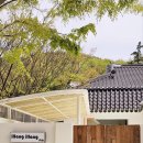 일랑일랑 스테이 티스토리
