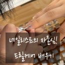 다콩네일 이미지