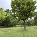 늘솔길공원화장실 | 인천 소래포구 근처 &lt;늘솔길공원축구장&gt; 주차 편하고 화장실 가까운 축구장