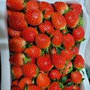 현일농장 이미지