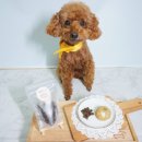 개밥드슈 이미지