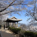 미수 해양공원 이미지