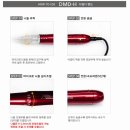 디엠디(DMD)