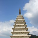 상관편백숲길 이미지