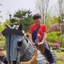 한양대 충효예태권도 이미지